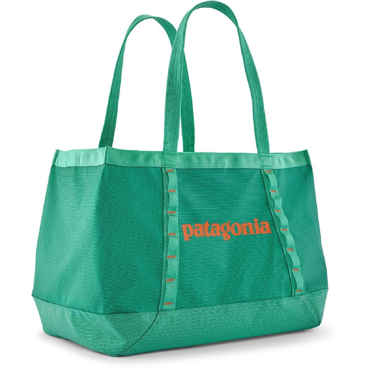 Patagonia Black Hole Tote Bag 25 L